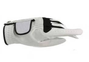 Le gant